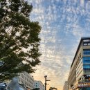 연돈볼카츠시흥