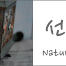 남구-073 네이버블로그