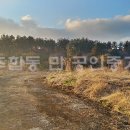 스프링데일 리조트 인근 이미지