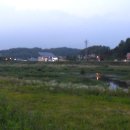 고려병원 앞 이미지