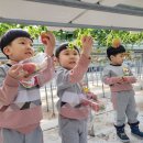 화랑어린이집 이미지