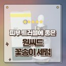 작은꽃송이 | 피부 트러블에 좋은 비건화장품 추천 원씨드 꽃송이세럼 사용후기