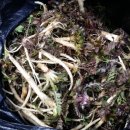 일동5일장 이미지