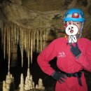 동강산장 이미지