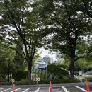 서강대학교 | 서강대학교 메리홀 2층 시야(M열 8,9번) 적재 소극장 콘서트 후기