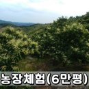 용봉농장 네이버블로그