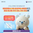 26년 1분기 ＜수두＞ 이미지