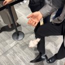 365엠씨(mc)병원 | 삐딱선 어디서 타야 하나여??