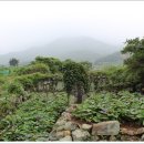 천성진성 이미지