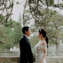 다담플래닝 이미지