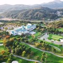 마에스트로 이미지