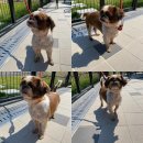 봉곡북로 이미지