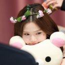 자꾸 Daum카페