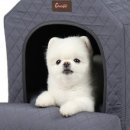 펫하우스 이미지