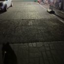 다이소 대전상대점 | 2026. 01 3week :) 커피아마토르, 썬더치킨, 상대돈, 다이소, 맘마존세팅과 함께한 일상이야기 2