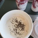 827 | 제주월평동 대형정원카페 | 제주플랜트827 내돈내산 후기