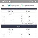 하이디항공