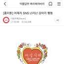 앨범정리겸 여기저기 쫌쫌따리 모아온 내 취향 여캡 이미지