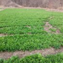 한진농장 2 이미지