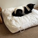 플러피펫 | [ 플러피펫 ] 파도쿠션 / 고양이 쿠션 / 강아지 쿠션 / 강아지 방석 / 고양이 방석 / 펫테리어 방석