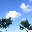 지엘비전 | 다이어트 정체기 극복도 지엘핏 다이어트유산균과 함께 (ft.두달섭취후기)