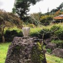 가배스토리 | 포천 산정호수 분좋카 추천, [가비가배] 한옥카페 자연뷰맛집