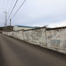 탑동대교 옆 이미지