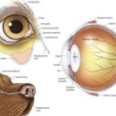 시그널동물병원 이미지