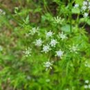 리버빌펜션 이미지