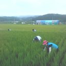 경주시농업기술센터 이미지