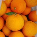 충암유치원 이미지