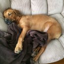 대화기기 이미지