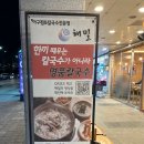 해밀날오후 이미지