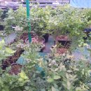 물레방아농장 이미지