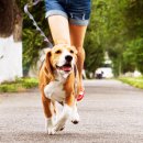 하남숲동물병원 이미지