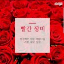 성심도우미소개소