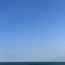 올레 김밥 이미지