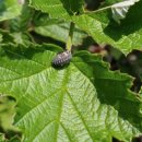 유수정농장 이미지