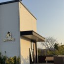 포항애견 | 포항 애견운동장 포댕 만족 후기