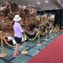 사립강원종합박물관 이미지