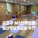 힐링요가교실 | 금천구 MJ산부인과 임산부요가 클래스 수강후기