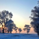 아름다운삶 이미지