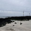 초록마을 무거점 | 제주도 4월 여행 추천 함덕해수욕장 제주 동쪽 바다