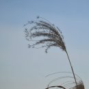 서경 Daum카페