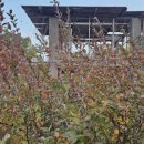 무어산 경로당 이미지