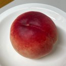 도원 농장 | 서원농원 백도복숭아 천중도 구매후기