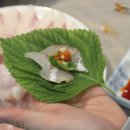 동해활어자연산전문점 이미지