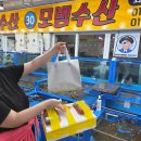 대천항로 | 대천항 수산시장 맛집 모범수산 깔끔한 대광어회 포장 후기