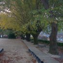 남면초등학교 이미지