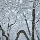 명산회관 네이버블로그